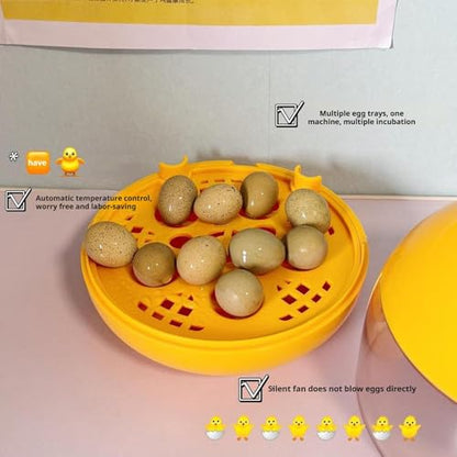 Egg Incubator, Rutin Chicken Egg Incubator for Hatching Eggs, Small Clear Egg Hatching Incubator, Automatic Smart Control Hatcher Machine for Variety Size of Eggs