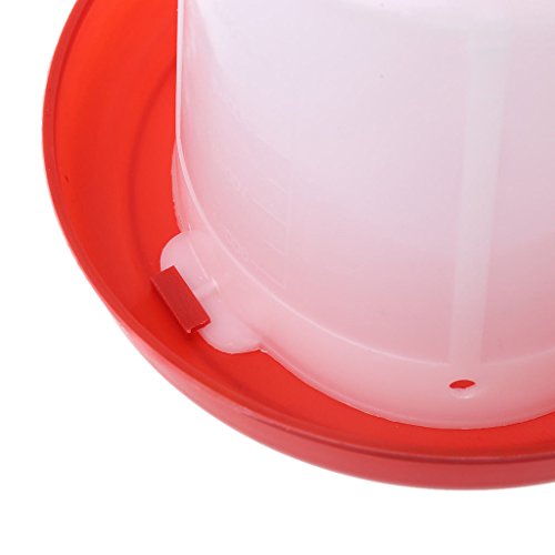 Chicken Feeder Waterer Baby Chick Drinker Feeder with Carrying Handle Capacity 2.5 L Chicken Water Feeder Pet Supplies