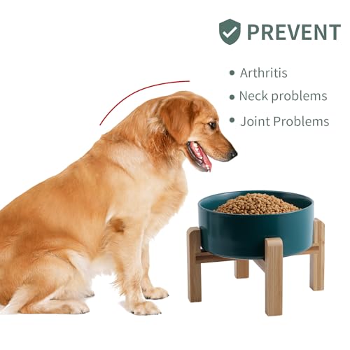 Green Raised/Elevated Ceramic Dog Bowl for Small Medium Sized Breeds,Dog Food Water Bowl with Stand,6 in Non Slip Heavy Pet Feeding Dish 3.6 Cups/ 850 ml /28 OZ - color: Green, size: 6 in