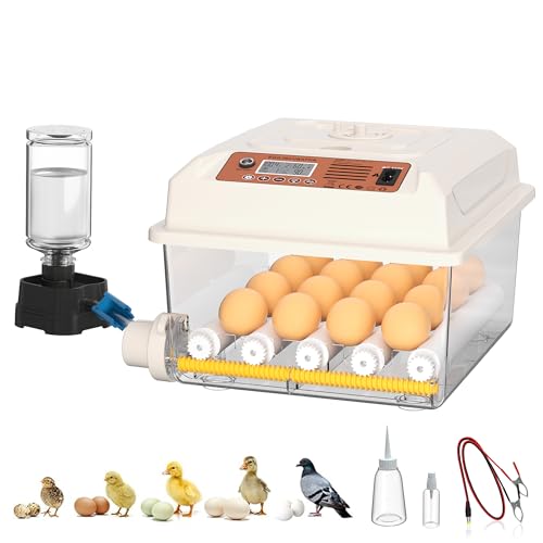 CoInceptus 16 Eggs Incubators for Hatching Eggs, Egg Incubator with Automatic Egg Turning, Chicken Egg Incubator with Humidity and Incubation Day Display, Incubator with Egg Candler for Poultry(White) - color: White, size: 16 Egg
