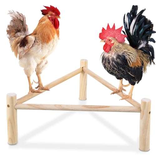 Chicken Strong Wooden Roosting Bar, Strong Roosting Bar for Brooder, Chick Wooden Perch 16.5 × 6.2 Inch Training Chicken Stand Toy for Bird Parrots Macaw