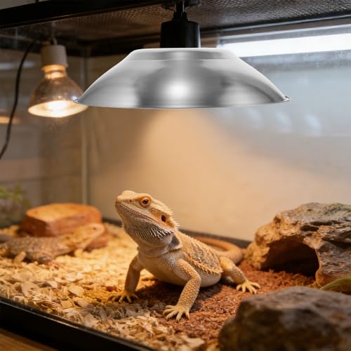 Reptile Heat Lamp Shade: Anti Scald Lampshade Heat-Resist Heating Light Guard - Metal Lighting Fixture for Reptile, Chicken, Pet Coop Enclosure
