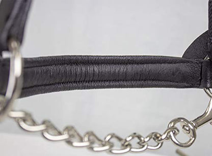 Derby Originals Premium Raised Padded Fancy Stitch Leather Cattle Show Halter with Matching Chain Lead - color: Havana, size: Small (350-700lbs)