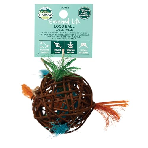 Oxbow Enriched Life Loco Ball, Rabbit Toys, Guinea Pig Toys, Enrichment for Bunny, Hamster, Rabbit, Chinchilla, Rat, Chinchilla Cage Accessories, Guinea Pig Accessories for Cage - size: 1 Count (Pack of 1)