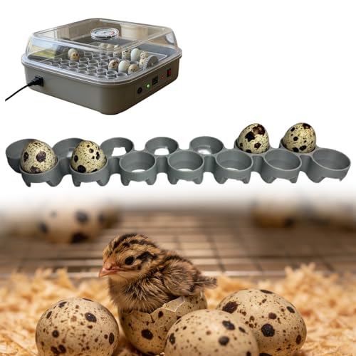Custom Quail Egg Turner Tray Compatible with Maticoopx 20 Egg Incubator, Precision Fit Hatching Accessory for Small Eggs, 14Slot Small Egg Tray Accessory - Durable Grey (M30) (Tray Only） - color: M30