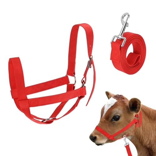 M METERXITY 1-Pack Adjustable Cattle Cow Calf Halter, 12.6"-18.9" Nylon Livestock Cow Halter with Leading Rope for Miniature Horse/Donkey/Goat/Cattle [Red] - color: Red, size: 12.6"-18.9"