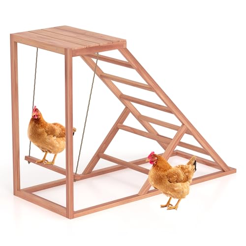 Chicken Roosting Bars with Bird Swing, Ramp, Bars Toys for Pet's Health & Happy, Chicken Perch Easy to Clean, Exercise The Bird's Claws Suitable for Backyard Farms 38.11 X 15.75 X 27.95 (A) - size: Small
