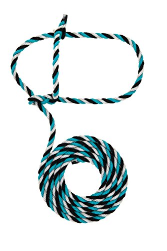 Weaver Leather Livestock Cattle Rope Halter, Teal/Black/Gray