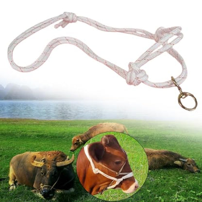 Cattle Traction Halter Bull Bridle Adjustable Cow Halter Livestock Equipment Lightweight Design with Nylon Structure for Farm Use Suitable - size: Large