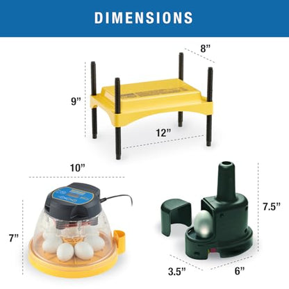 Brinsea Mini II Advance Egg Incubator Classroom Kit Brooder Pack for Students with Lesson Plan, Egg Scope, EcoGlow Brooder, Plastic Chick Enclosure, Feeder and Drinker for Hatching Chicks, Ducklings - size: Classroom Kit, 7 Eggs