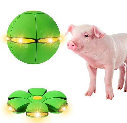 Pig Toy - Toy for Pigs, Interactive Pig Flying Saucer Disc Ball Toys with 6 Lights for Mini Pigs, Enrichment Play for Pet Pigs Supplies Enjoyment and Fun-Green - color: Green