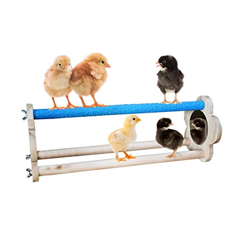Chicken Perch for Chicks Chicken Roosting Bar Wood Stand with Mirrors Chick Stand Trainning Perch Toy