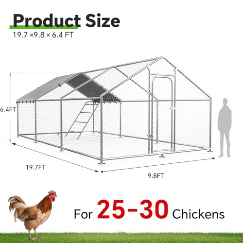Large Metal Chicken Coop with Weatherproof Cover and Multi-Purpose Chicken Run for Chickens, Ducks, Rabbits, Farm and Yard Animal Pen (10’ W x 19.7’ L x 6.4’ H, Spire Roof-Roosting Perch) - size: 20x10Ft - Spire
