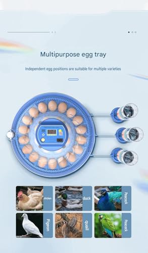 JUJOJB 12 Egg Incubators for Hatching Eggs, Egg Incubator with Temperature and Humidity Control, Egg Candler, Automatic Egg Turner, Clear Window Incubator for Chicks Duck Quail Eggs