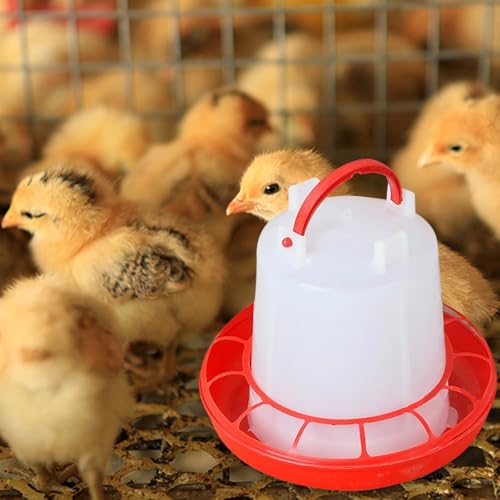Poultry Feeder, Chicken Feeder and Waterer Set, Food Dispenser, Starter Kit, Baby Supplies - color: style5
