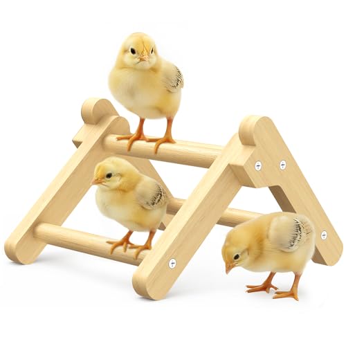 Innoland Chick Perch Foldable, Chick Toys Stable & No Assemble, Baby Chick Toys for Stand Training, 8.27" × 7.68" × 4.92" Roosting Perch for Chicks Brooder | Coop (S) - size: 8.27" × 7.68" × 4.92"