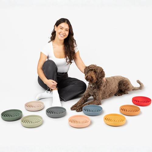Should We Go? Slow Feeder for Dogs & Puppies, The Slowdown Bowl Silicone Slow Eating, Modern Lick Mat Design, Reduces Gulping, Fits 2 Cups, 7.5” Across x 1.5” Tall, Mealtime Challenge, Medium-Sage - color: Sage - Rainbow Design, size: Medium (7.5” Across