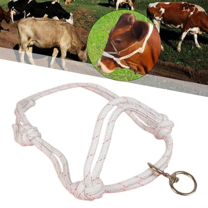 Menolana Bull Bridle Cow Halter for Home Cattles Farms Outdoor Strong Cow Lead Equipment Nylon Tools Effective Cattle Traction Halter - size: Small
