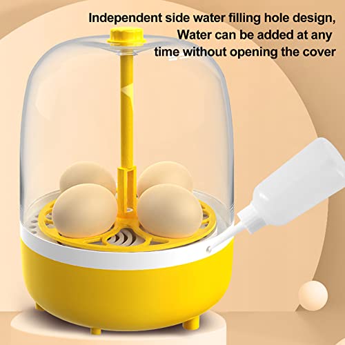 Tissting Mini Egg Incubator, Digital Incubators for Hatching Chicks, Holds 4 Eggs, Automatic Turner with Temperature and Humidity Control