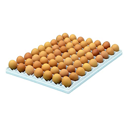 Hatching Time Egg Setter Tray (80 Chicken Eggs), Good Fit, Durable, Washable, Easy to Clean, Cimuka, Fits Incubators, ABS Plastic - style: 80 Egg Setter Tray - Chicken