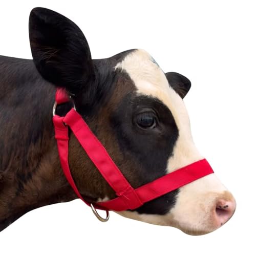 perixir Cow Halter Cattle Halters Calf Halter，Adjustable Nylon Livestock Cattle Halter，for Miniature Horse Donkey Goat Foal - color: Red, size: Small