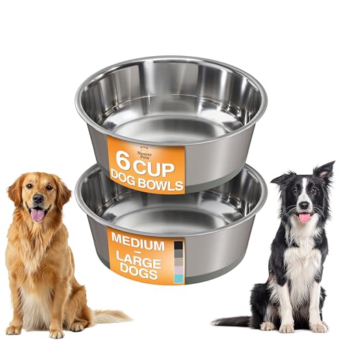 Neater Pet Brands Stainless Steel Dog Bowls with Non-Slip Rubber Bottom – Set of 2, 6 Cup (48 oz), Gray - Heavy Duty Metal Dog Bowl, Dishwasher Safe, Food or Water Bowl, Ideal for Large Dogs - color: Gray, size: 6 Cup (Set of 2)