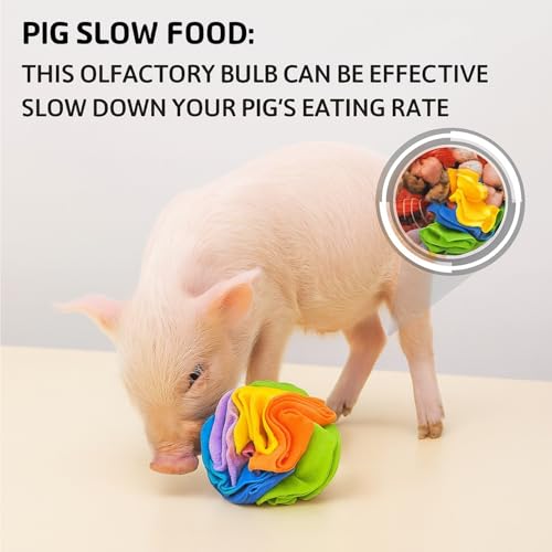 Pig Snuffle Mat and Snuffle Ball for Pigs – Pig Enrichment Toys for Mini Pigs, Potbellied Pigs & Farm Use – Interactive Foraging & Rooting Toy, Slow Feeding Pig Toys Accessories