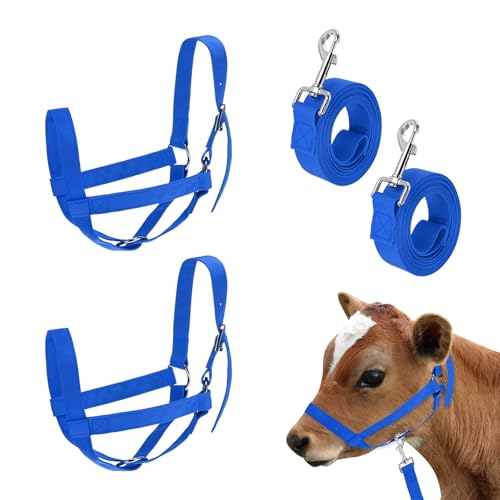 M METERXITY 2-Pack Adjustable Cattle Cow Calf Halter, 12.6"-18.9" Nylon Livestock Cow Halter with Leading Rope for Miniature Horse/Donkey/Goat/Cattle [Blue] - color: Blue, size: 12.6"-18.9"
