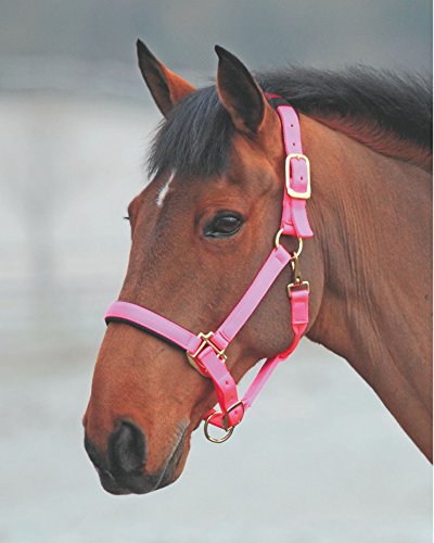 Shires Topaz Leather Breakaway Nylon Headcollar - color: Pink, size: Small Pony