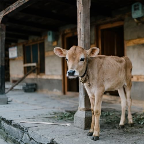 Calf Milk Feeder Tube, Cow Nursing Feeding Hose for Cattle, 16" Feeding Apparatus Replacement Tube for Lamb and Goat Bottle Feeder