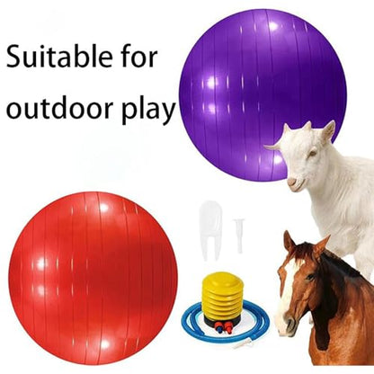 2pcs Horse Toy Balls with Inflation Pump, Suitable for Outdoor Entertainment, Training Balls for Horses and Goats (55cm/21.65inch) - size: 55cm/21.65inch