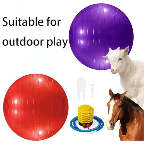 2pcs Horse Toy Balls with Inflation Pump, Suitable for Outdoor Entertainment, Training Balls for Horses and Goats (45cm/17.71inch) - size: 45cm/17.71inch