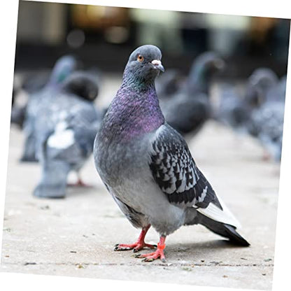 Toddmomy 100pcs Pigeon Foot Rings Durable Plastic Bird Leg Bands for Identification Mixed Colors for Poultry Chickens Ducks and Birds