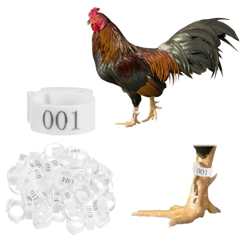 Generic 50-Pack Adjustable Chickens Leg Bands, 17-22 mm Plastic Poultry Identification Chicken Leg Rings for Turkey/Duck/Goose/Chicks, Colorful Numbered Foot Clip on Tags [White]