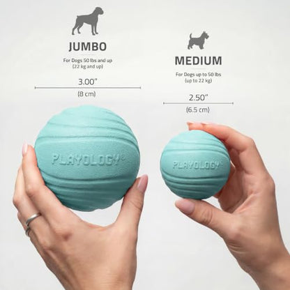 Playology Dog Toys | Dual Layer Ball Durable Chew Toy for Tough Chewers | Peanut Butter Scented Jumbo Dog Toy | Chew Toys for Large Dogs - size: Jumbo, style: Peanut Butter