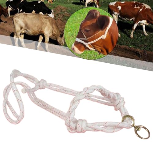 Menolana Bull Bridle Cow Halter for Home Cattles Farms Outdoor Strong Cow Lead Equipment Nylon Tools Effective Cattle Traction Halter - size: Braided Large