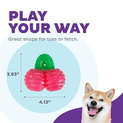 Outward Hound Gummiez Cherries Dog Toy & Treat Stuffer, 4″ x 4″ Cherry-Scent Interactive Chew for Dogs, Promote Healthy Teeth, Gums & Mental Enrichment, Reduce Boredom & Support Dental Health - color: Cherries