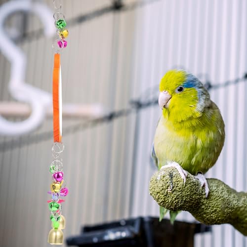 Gadpiparty Chicken Hanging Mirror with Bells, Sturdy Rooster and Hen Pet Mirror for Parrots and Birds, Interactive Gnawing Swing for Bird Cages and Coops