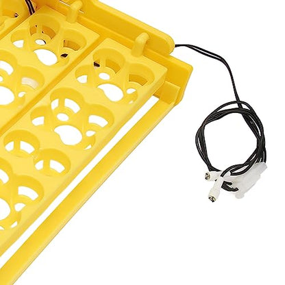 Egg Incubator Tray, Multifunction Automatic Egg Turner Incubator Tray Eggs Automatic Egg Turner Turning Tray for 16 Duck Eggs 16 Eggs 72 Quail Eggs Incubation (AC12V) - size: AC12V