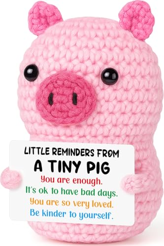 GevGuxLuo Positive Crochet Pink Pig Birthday Gifts for Women, Back to School Inspirational Cheer Support with Affirmation Cards for Teens Girl Women Friend Sister Daughter Trendy Stuff Cute Decor - style: Little Reminders