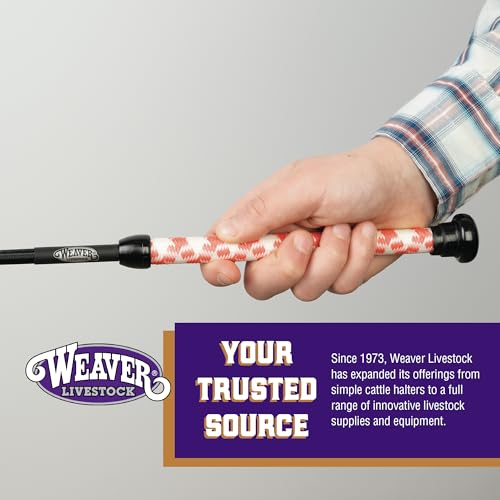 Weaver Livestock Basic Pig Show Whip, Hog Livestock Whip with Braided Nylon Handle, Leather Popper, Lightweight Braided Shaft - color: 36" - Strawberry/White