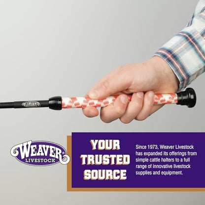 Weaver Livestock Basic Pig Show Whip, Hog Livestock Whip with Braided Nylon Handle, Leather Popper, Lightweight Braided Shaft - color: 36" - Strawberry/White