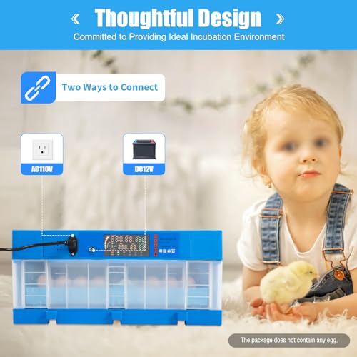 48 PCS Eggs Incubator, 2-in-1 Automatic Egg Incubator for Hatching Eggs with Digital Control, Blue Automatic Egg Turner with 360° Auto Turning & Uniform Heating for Home & Farm Use - size: 48 PCS