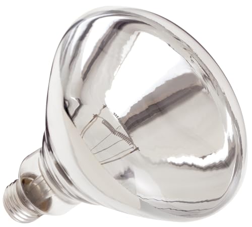 Satco S4885 120V 250 Watt R40 Medium Base Shatterproof Heat Lamp, Clear - size: 1 Count (Pack of 1)