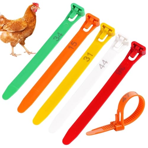 Chicken Leg Bands 300 Pcs Adjustable Chicken Foot Ring 8~28mm Turkey Goose Duck Poultry Rings Bird Carry Marking Cards(Green) - color: Green