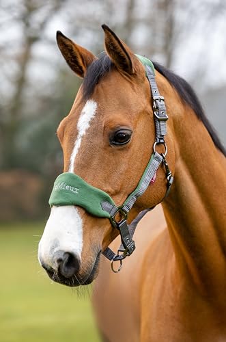 Lemieux Vogue Fleece Headcollar with Lead Rope in - size: Pony