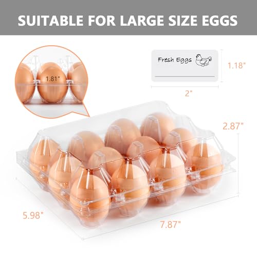 60PCS Plastic Egg Carton Reusable Egg Cartons Cheap Bulk for Fresh Large Eggs, 1 Dozen Blank Egg Tray Clear Egg Container Holder for Refrigerator Home Ranch Chicken Farm Commercial Market Display - size: 60Pack-3x4 Grids