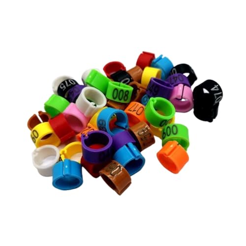200 Pcs Birds Feet Clip Rings Inner Diameter 8mm Width 5mm 100Pcs Plastic Ring Pigeon Quail Foot Animal(G) - color: G