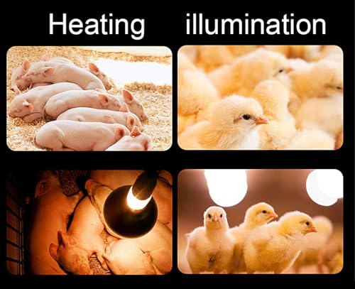Poultry Heat Lamp for Chicks Puppies Piggy, 200-400W Heating Lamp Adjustable Thermostat, Winter Animal Heater, Energy Saving and Waterproof(Color:2PCS) - color: 2pcs