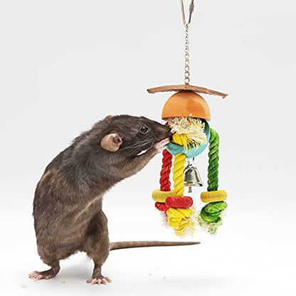 Crazy Legs- Natural Wood & Rope Dangling Interactive Treat Foraging Cage Accessory Toy - Sugar Gliders, Ferrets, Parrots, Squirrels, Marmosets, Degus, Hamsters, Rats & Other Small Pets… (1 Pack)